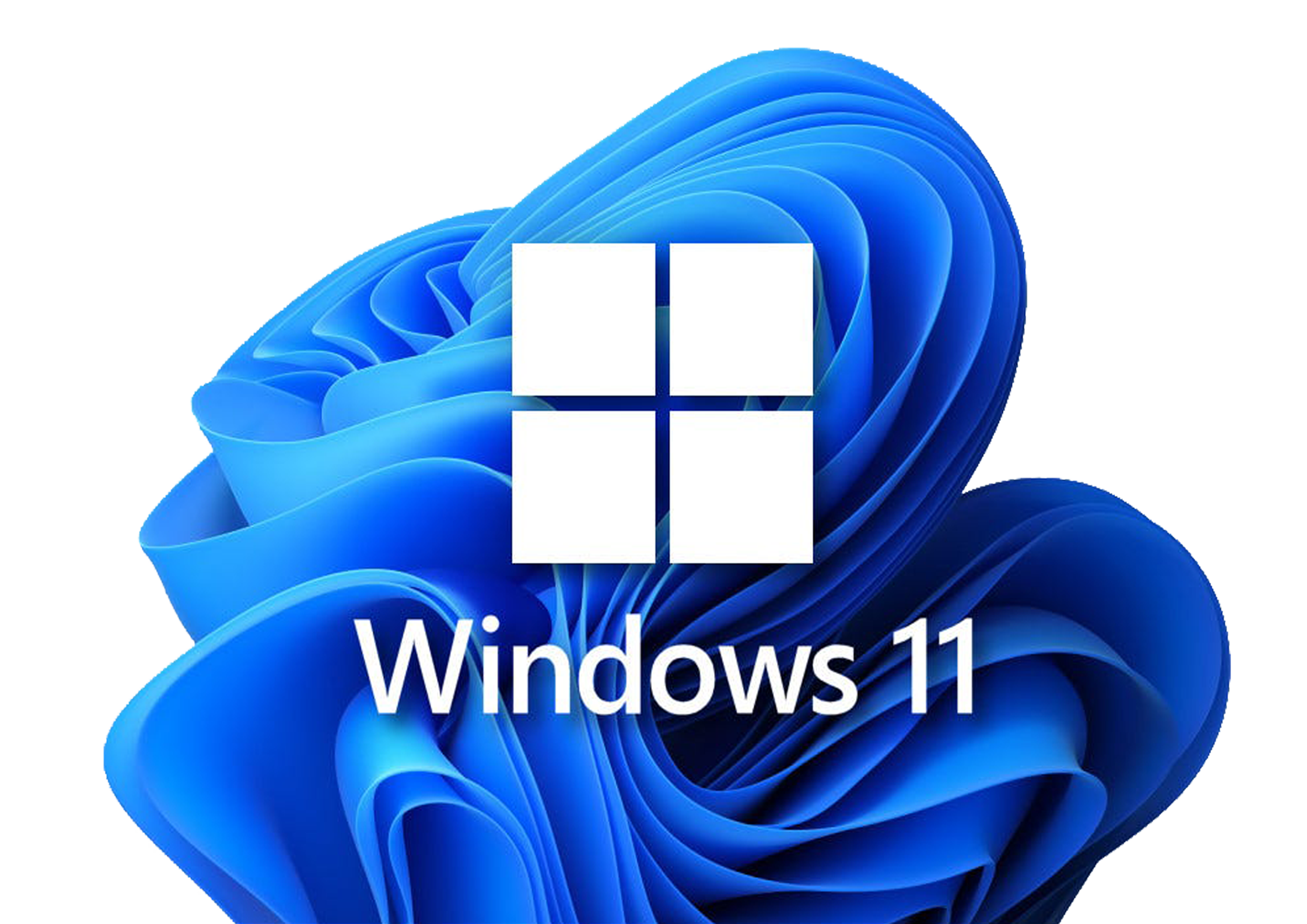 Microsoft Window 11 Pro OEM