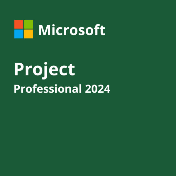 Microsoft Project Professional 2024