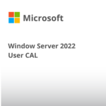 Microsoft Windows Server 2022 - 1 User CAL