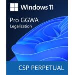 Microsoft Windows GGWA - Windows 11 Pro - Legalization Get Genuine PN - DG7GMGF0L4TL